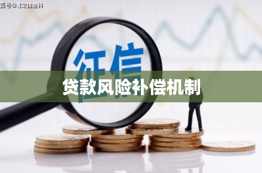 萧县贷款风险补偿机制
