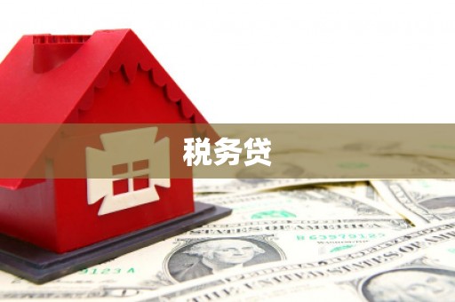 萧县税务贷