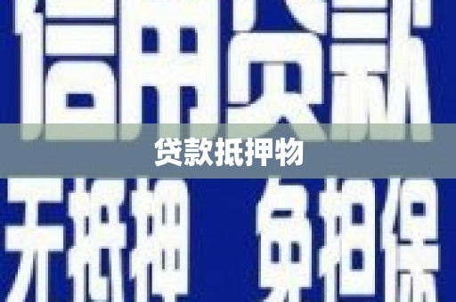 萧县贷款抵押物