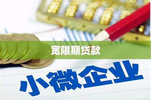 萧县宽限期贷款