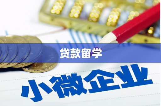 萧县贷款留学