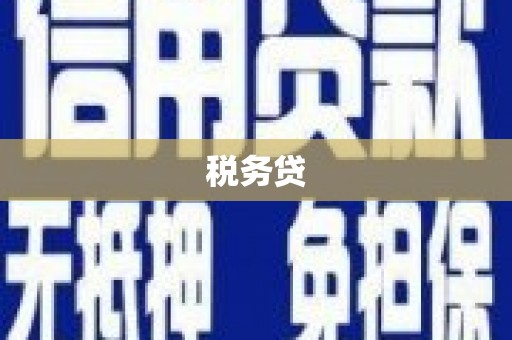 萧县税务贷