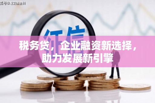 萧县税务贷，企业融资新选择，助力发展新引擎