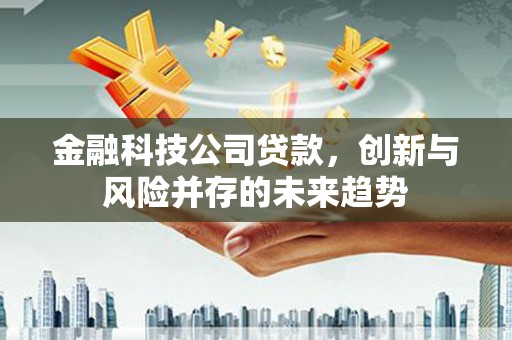 萧县金融科技公司贷款，创新与风险并存的未来趋势