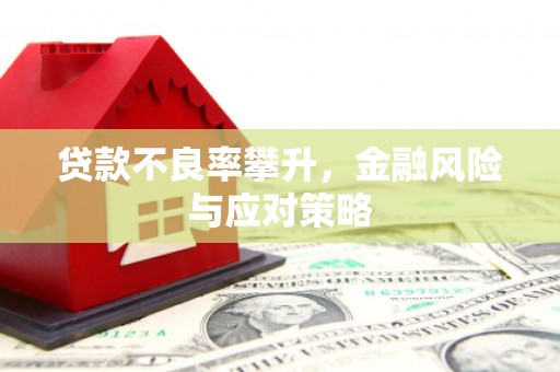 萧县贷款不良率攀升，金融风险与应对策略