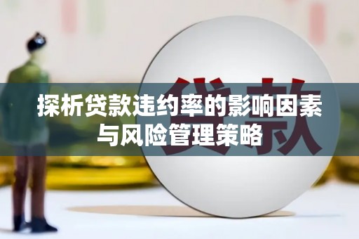 萧县探析贷款违约率的影响因素与风险管理策略