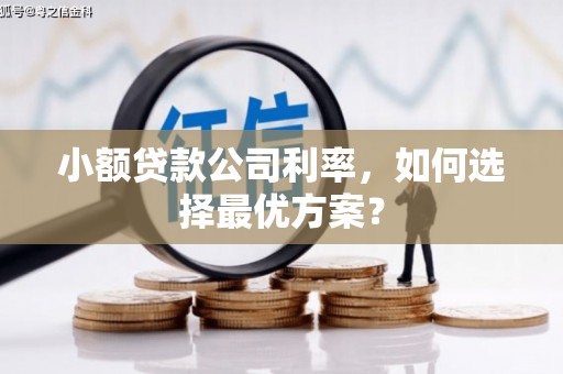 萧县小额贷款公司利率，如何选择最优方案？