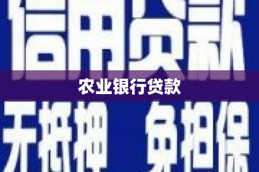 萧县农业银行贷款