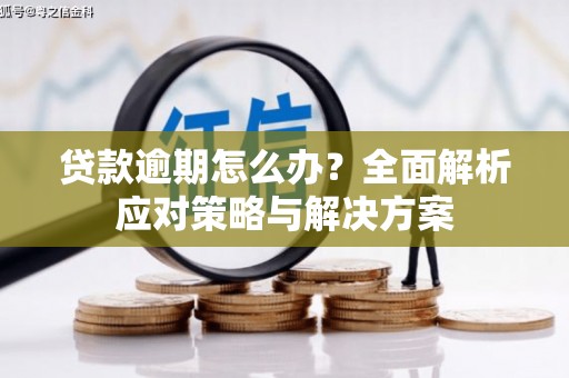 萧县贷款逾期怎么办？全面解析应对策略与解决方案