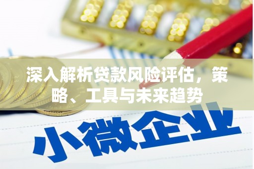 萧县深入解析贷款风险评估，策略、工具与未来趋势