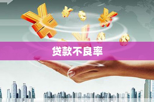 萧县贷款不良率