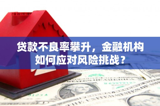 萧县贷款不良率攀升，金融机构如何应对风险挑战？