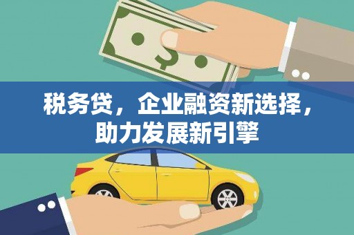 萧县税务贷，企业融资新选择，助力发展新引擎