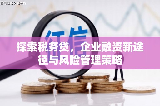 萧县探索税务贷，企业融资新途径与风险管理策略