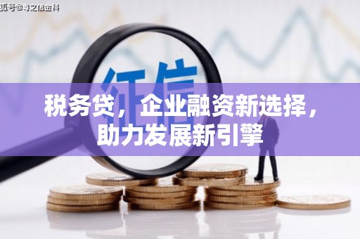 萧县税务贷，企业融资新选择，助力发展新引擎