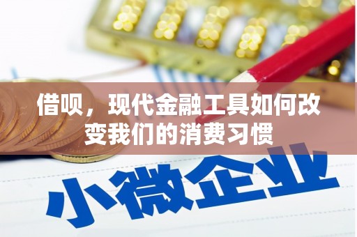 萧县借呗，现代金融工具如何改变我们的消费习惯
