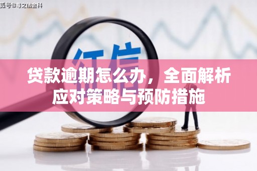 萧县贷款逾期怎么办，全面解析应对策略与预防措施