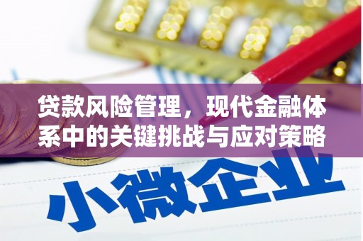 萧县贷款风险管理，现代金融体系中的关键挑战与应对策略