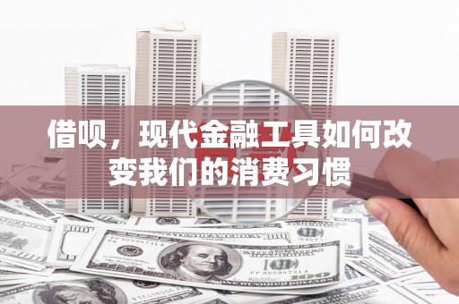 萧县借呗，现代金融工具如何改变我们的消费习惯