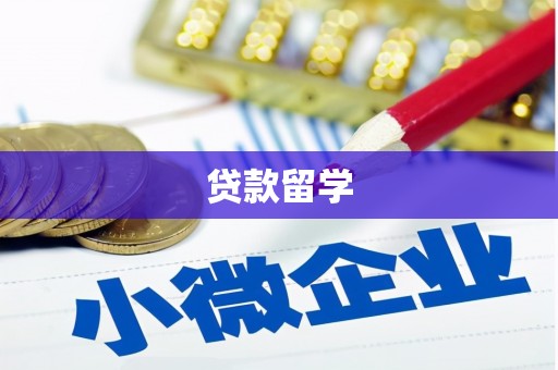萧县贷款留学
