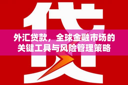 萧县外汇贷款，全球金融市场的关键工具与风险管理策略