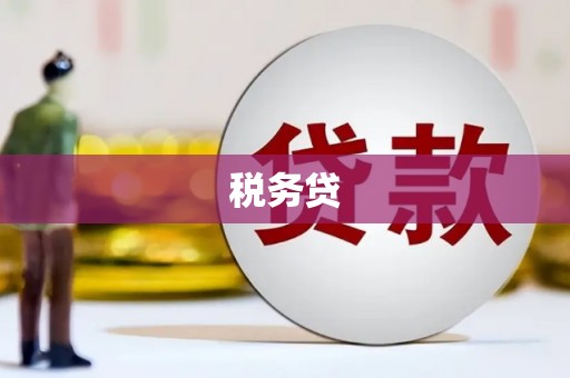 萧县税务贷