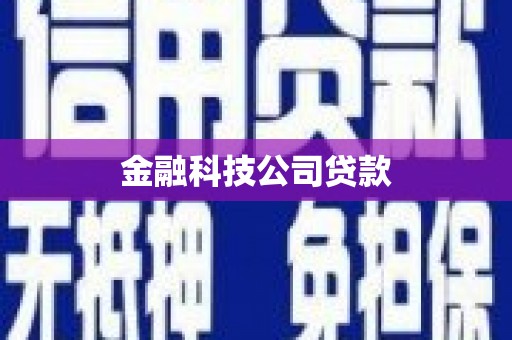 萧县金融科技公司贷款