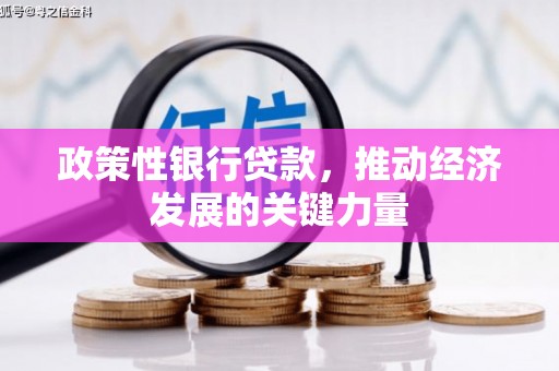 萧县政策性银行贷款，推动经济发展的关键力量