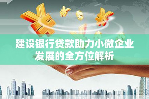 萧县建设银行贷款助力小微企业发展的全方位解析