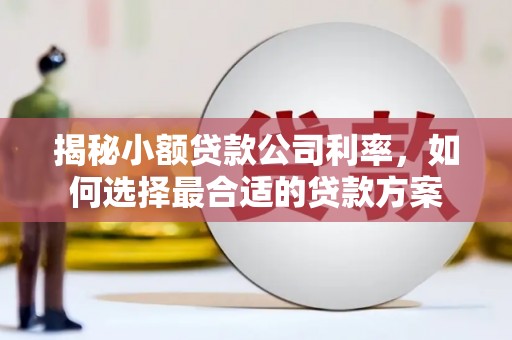 萧县揭秘小额贷款公司利率，如何选择最合适的贷款方案