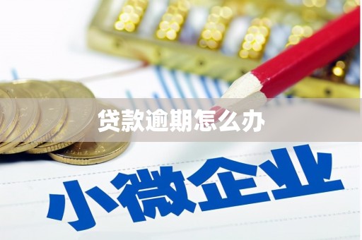 萧县贷款逾期怎么办