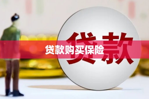 萧县贷款购买保险