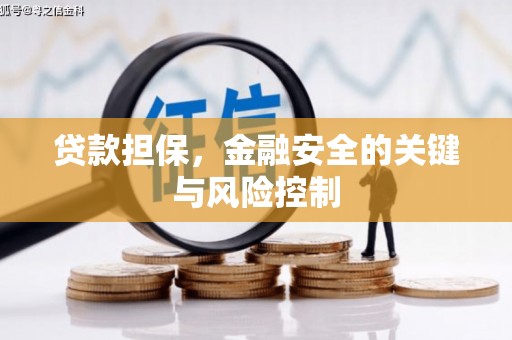 萧县贷款担保，金融安全的关键与风险控制
