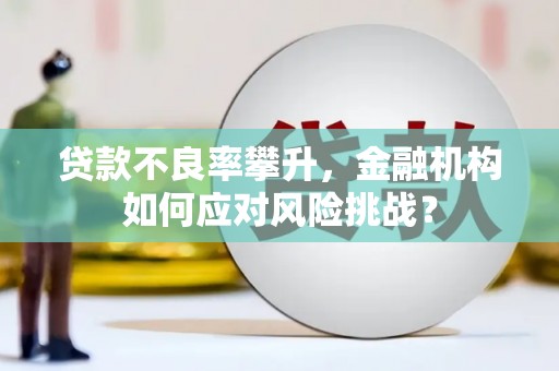 萧县贷款不良率攀升，金融机构如何应对风险挑战？