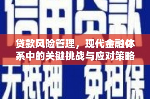 萧县贷款风险管理，现代金融体系中的关键挑战与应对策略