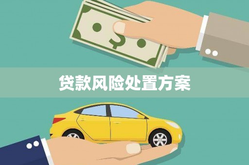 萧县贷款风险处置方案