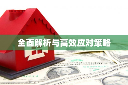萧县全面解析与高效应对策略